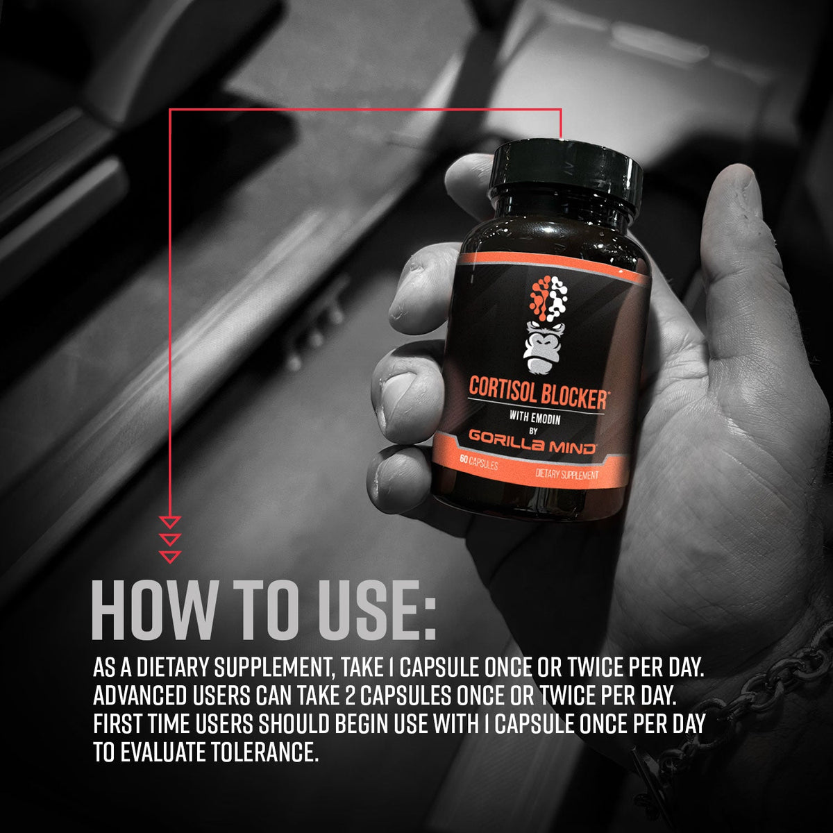 Gorilla Mind Cortisol Blocker - 60 servings
