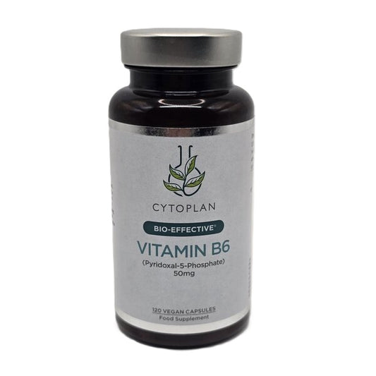 Cytoplan Vitamin B6 - 120 vcaps
