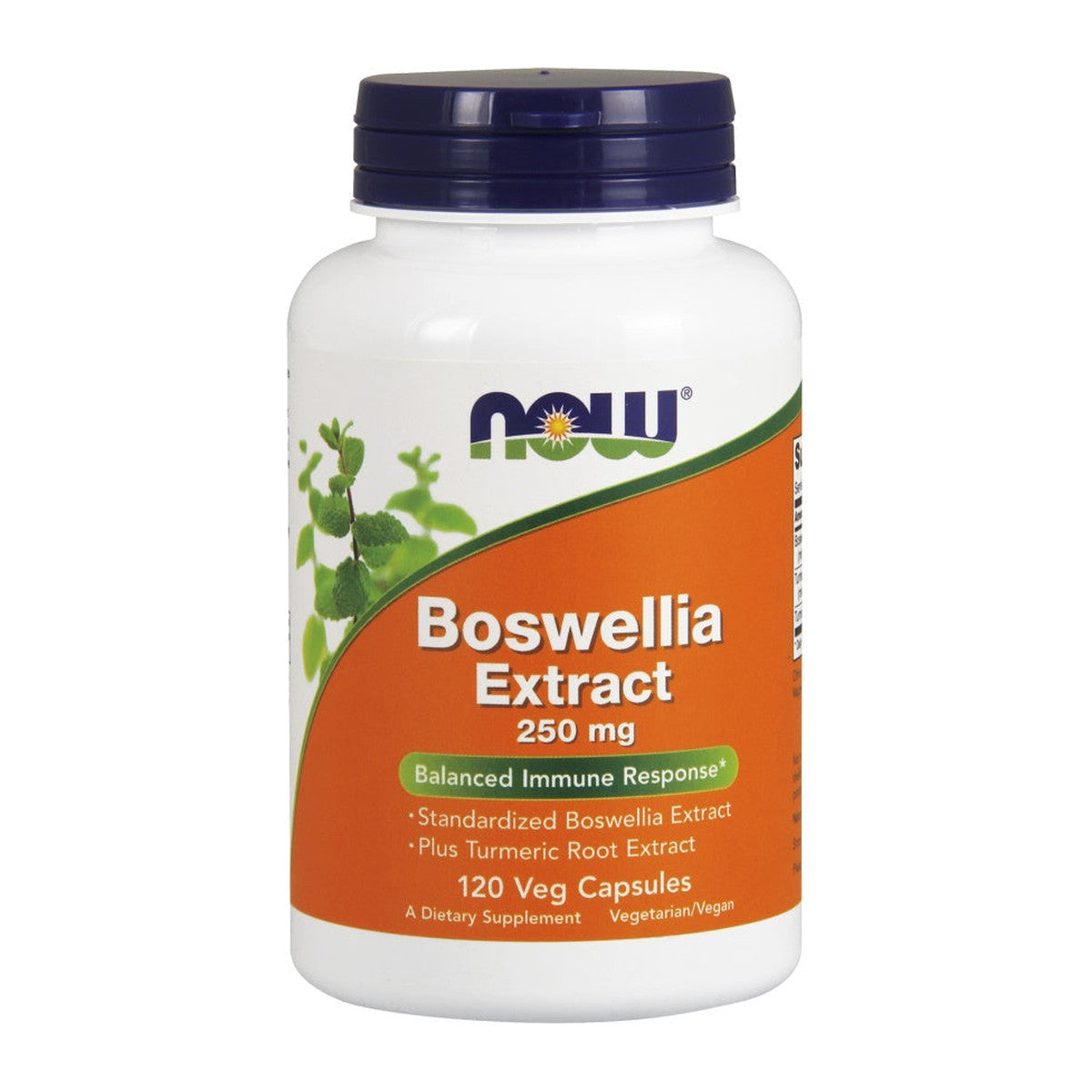 NOW Foods Boswellia Extract Plus Turmeric Root Extract, 250mg - 12
