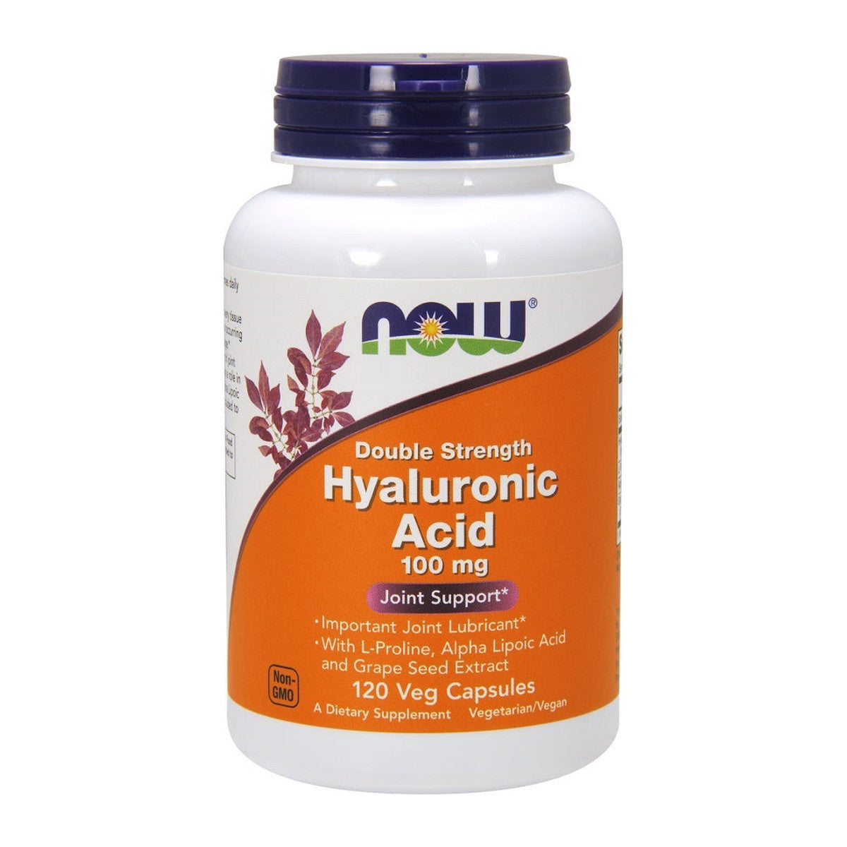 NOW Foods Hyaluronic Acid, 100mg Double Strength - 120 vcaps