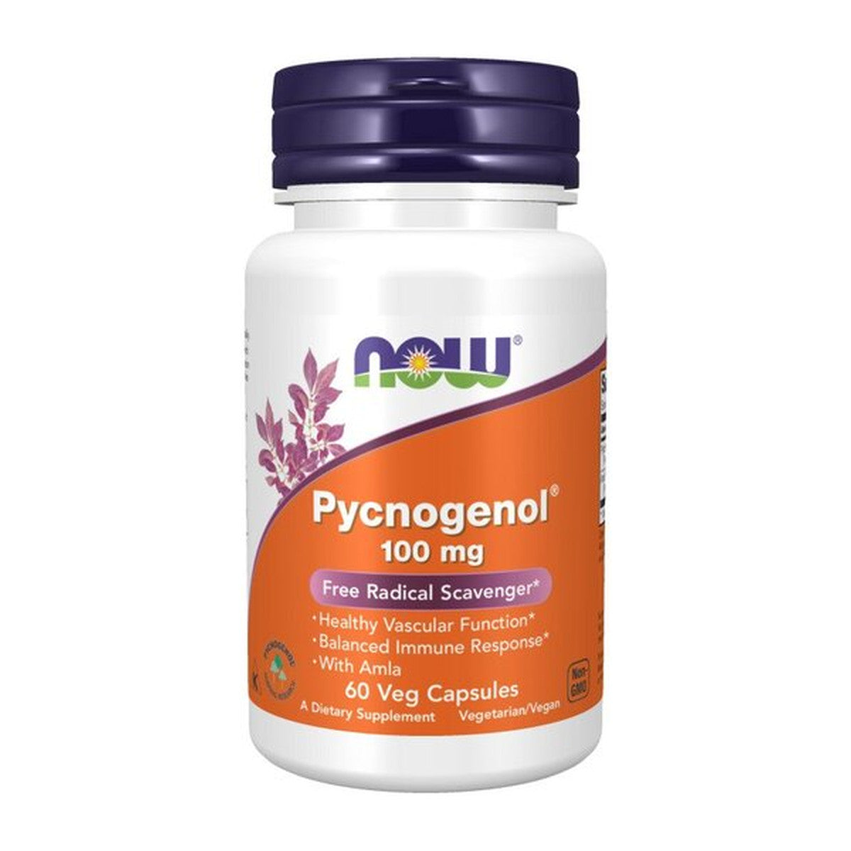NOW Foods Pycnogenol, 100mg - 60 vcaps