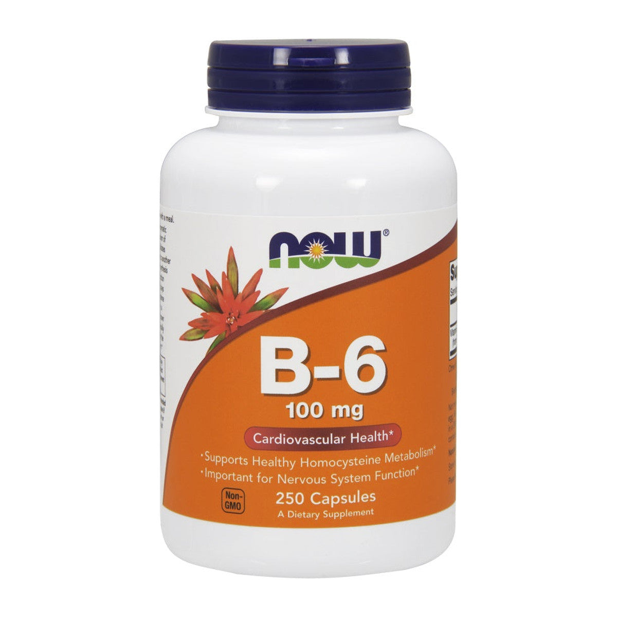 NOW Foods Vitamin B-6, 100mg - 250 caps